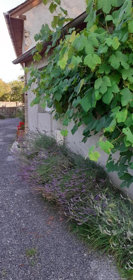 Gite Les Petits Chemins Ledeuix Exteriér fotografie